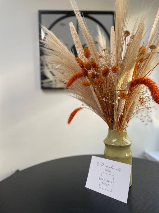 New Luxury For 2024 - Central Plymouth House - Sleeps 10 - Access To Plymouth Town - Close To The Barbican - Pets Welcome - Parking Available - By Luxe Living By Sophia Εξωτερικό φωτογραφία